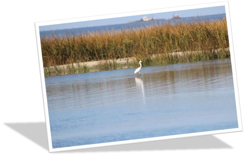 Manahawkin NJ Real Estate | Stafford Twp NJ Real Estate | 08050 Real Estate